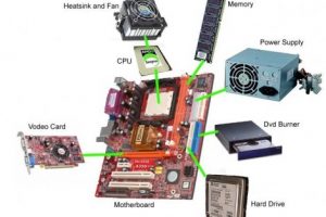 what-types-of-computer-hardware-3 what-types-of-computer-hardware-3